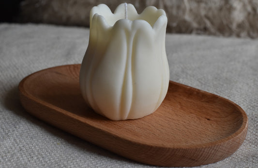 Bougie Churippu EXPO