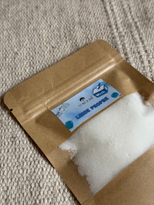 Poudre Aspirateur 50g