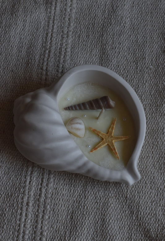 Bougie décorative Trivia EXPO