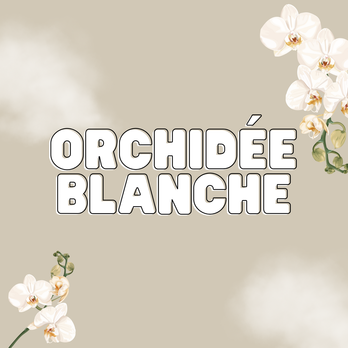 Fondant Orchidée Blanche