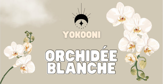 Fondant Orchidée Blanche