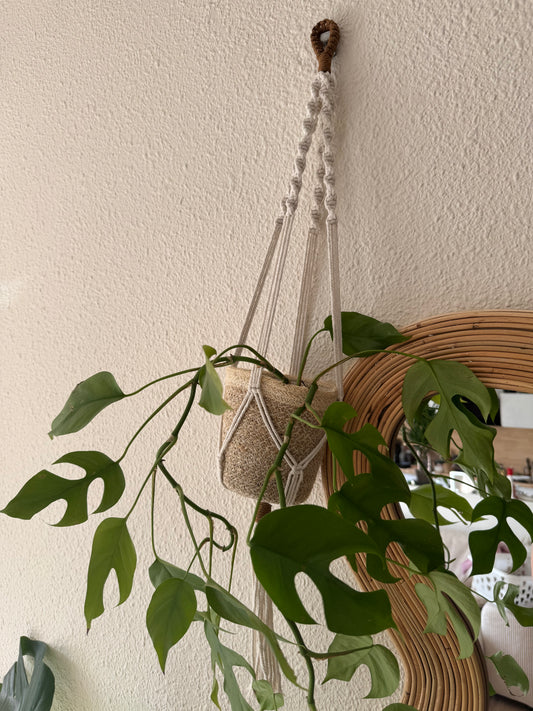 Support de plante Macramé